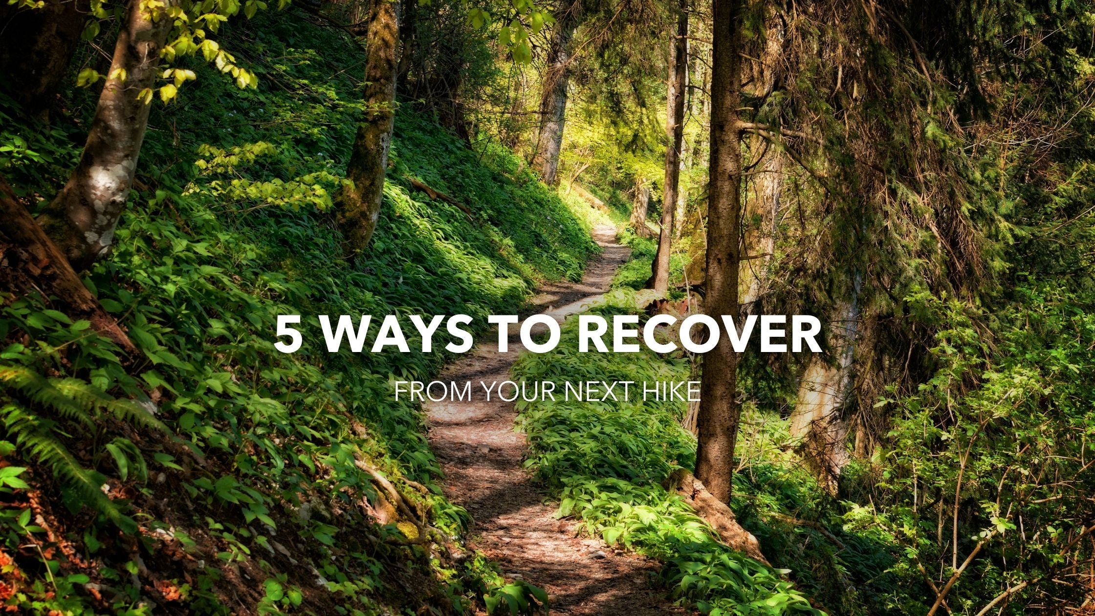 5 Ways to Recover After Your Next Hike