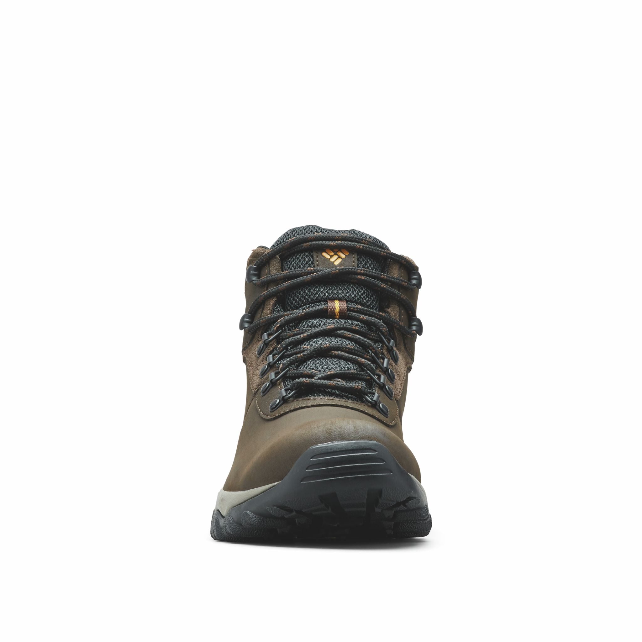 Mens newton ridge plus ii waterproof hiking clearance boot